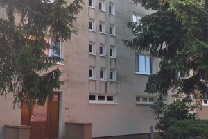 plíseň na fasádě 5