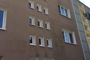 plíseň na fasádě 6